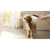 Hansgrohe DogShower - Ručná sprcha pre psa 150x63 mm, ružová 26640560