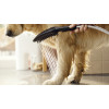 Hansgrohe DogShower - Ručná sprcha pre psa, modrá 26640540